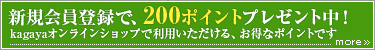 Ͽ200ݥȥץ쥼桪